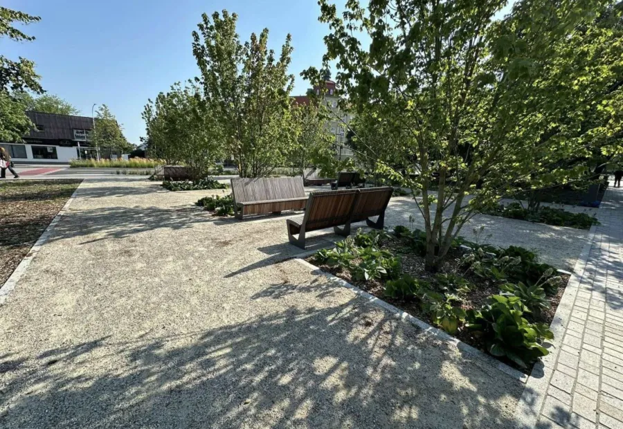 Drewniana pergola nad ścieżką mineralną