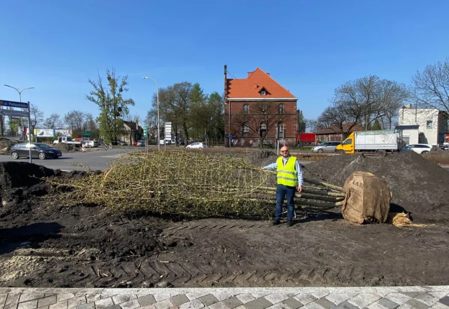 Transport materiału roślinnego na plac budowy