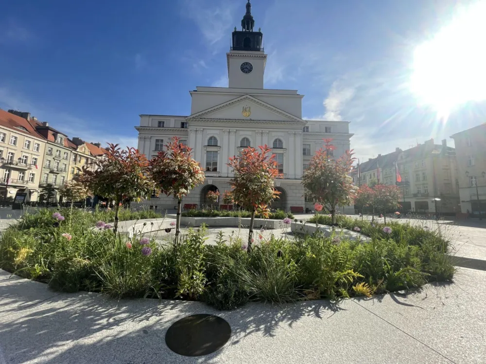 Zespół Greensystem przygotowuje rabaty na płycie Głównego Rynku