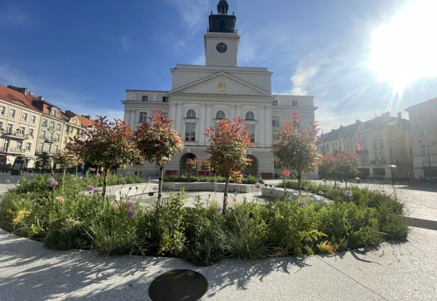 Zespół Greensystem przygotowuje rabaty na płycie Głównego Rynku