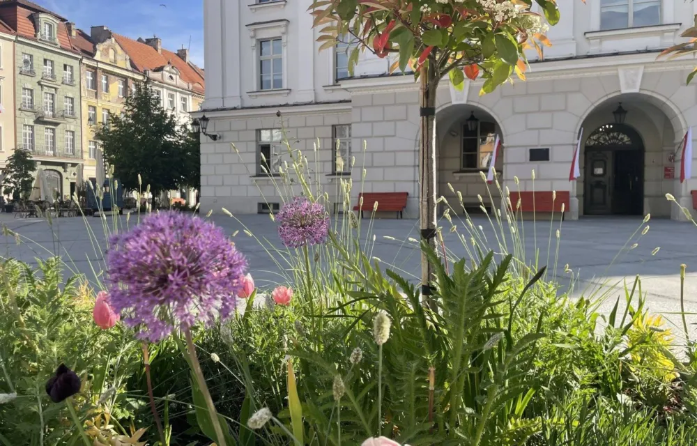 Główny Rynek w Kaliszu
