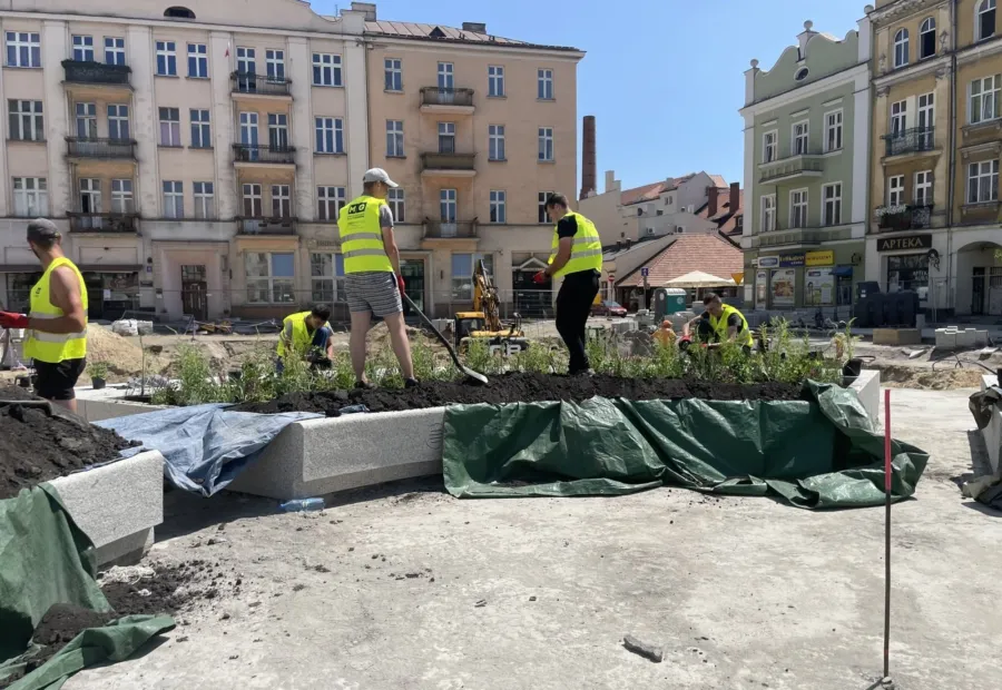 Zespół podczas nasadzeń w trakcie przebudowy rynku